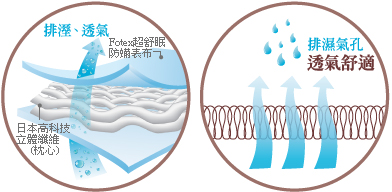 fotex芙特斯防蹣雪肌枕排濕透氣